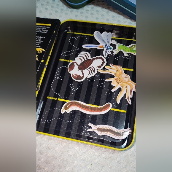 TS SHURE EUC 3 SET TEACHING TINS. ENVIRONMENT BUG SCIENCE BIG CATS. ALL 3 TOG. - Picture 3 of 10